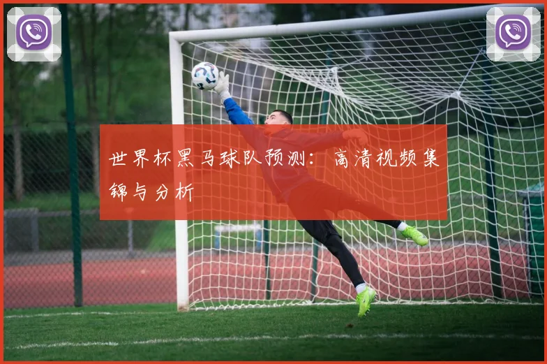 世界杯黑马球队预测：高清视频集锦与分析