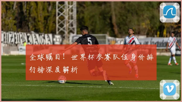 全球瞩目！世界杯参赛队伍身价排行榜深度解析